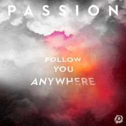 Cover of Follow You Anywhere (Live)