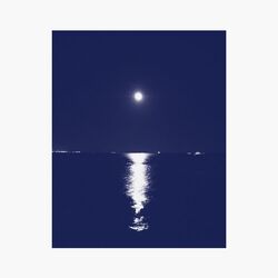 Cover of na margem sul