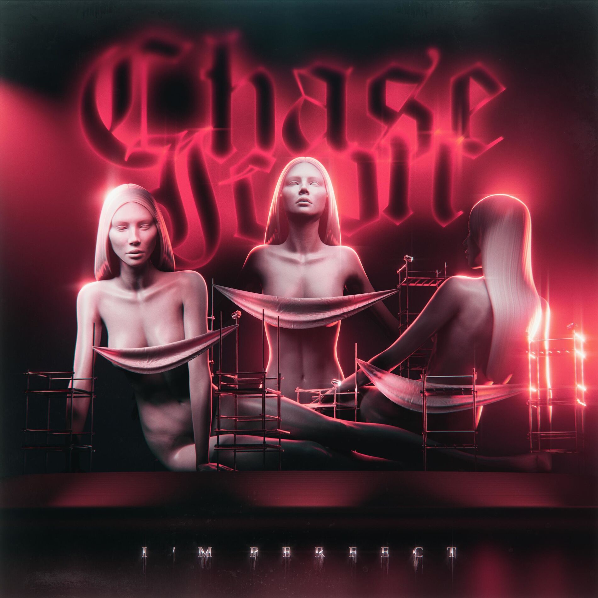Album cover of I'm Perfect