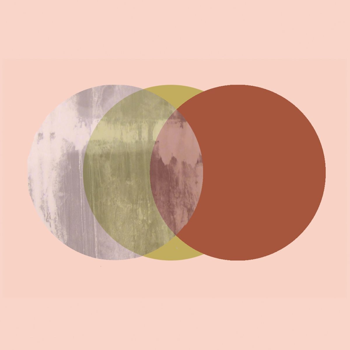 Album cover of VeElSkSiEdL