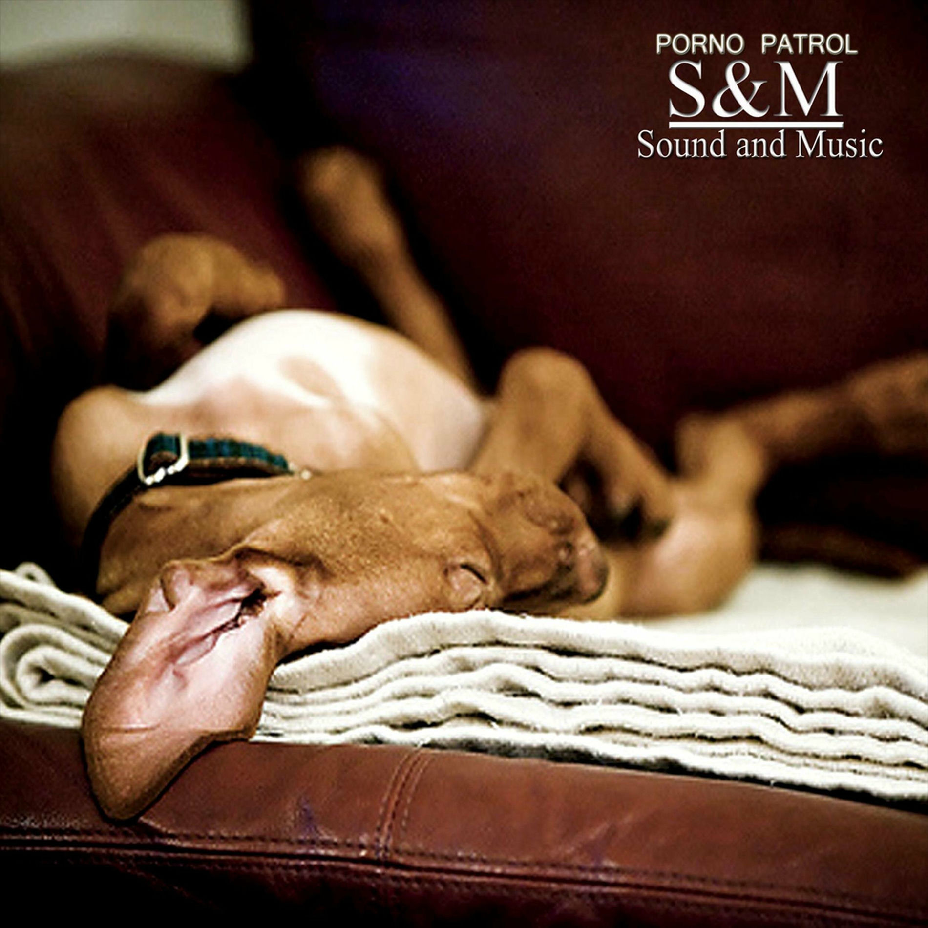 Том Фелтон порно фильмде