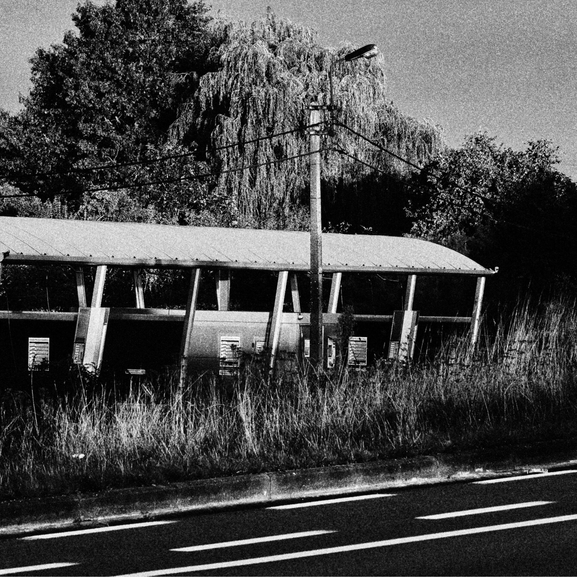 Album cover of Lonely Road