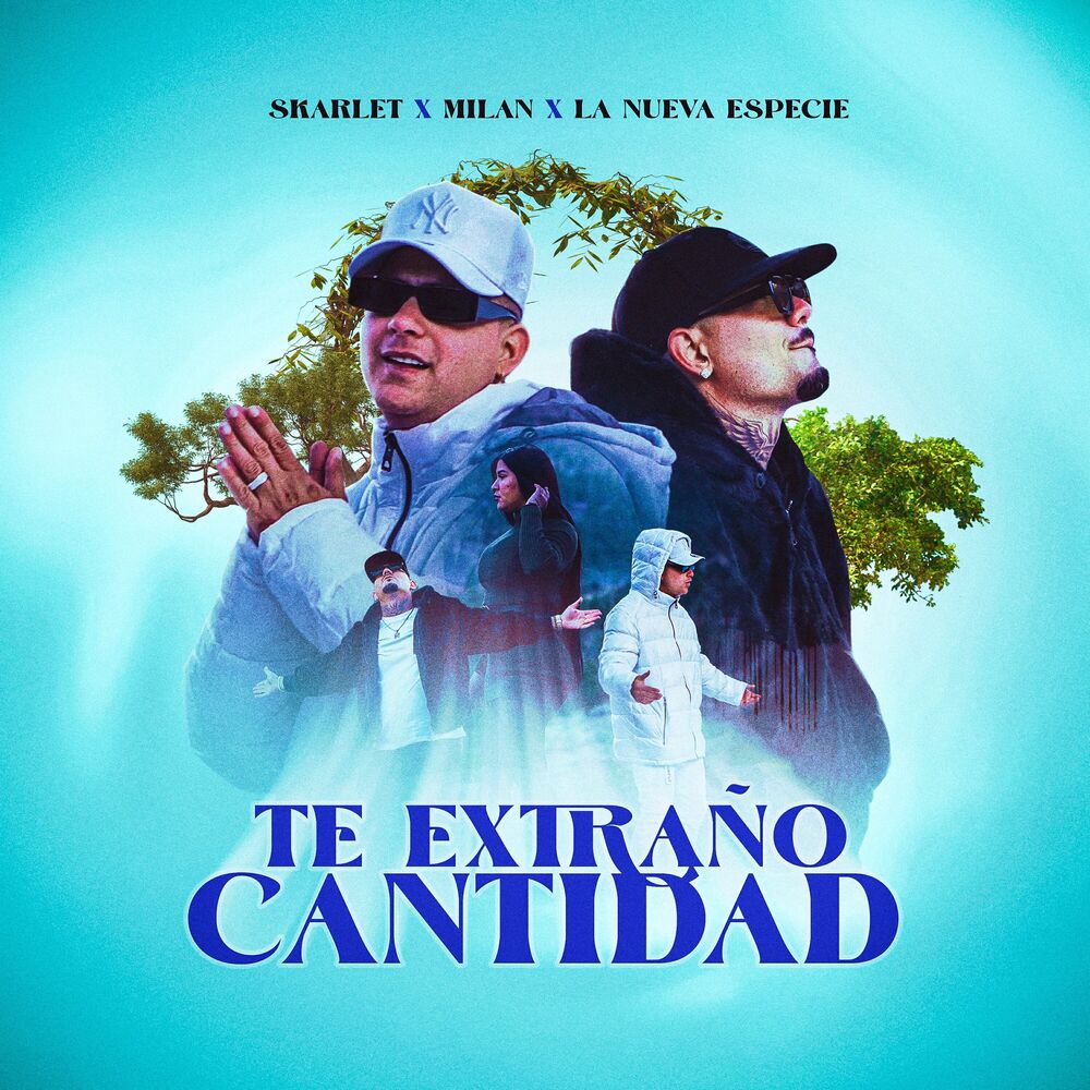 Picture of Te Extraño Cantidad