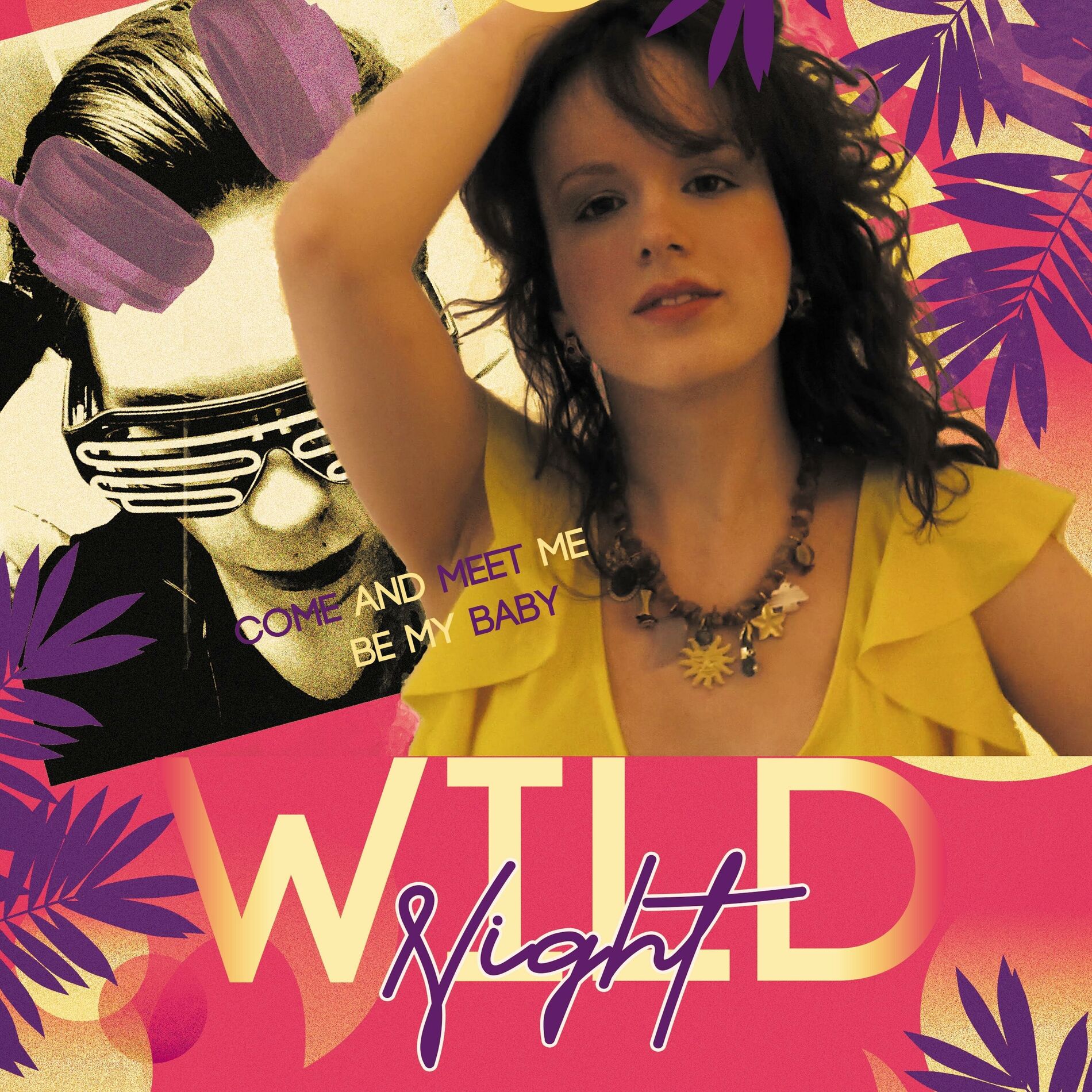 Album cover of Wild Night
