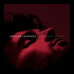 Cover of Love Don’t Hate It