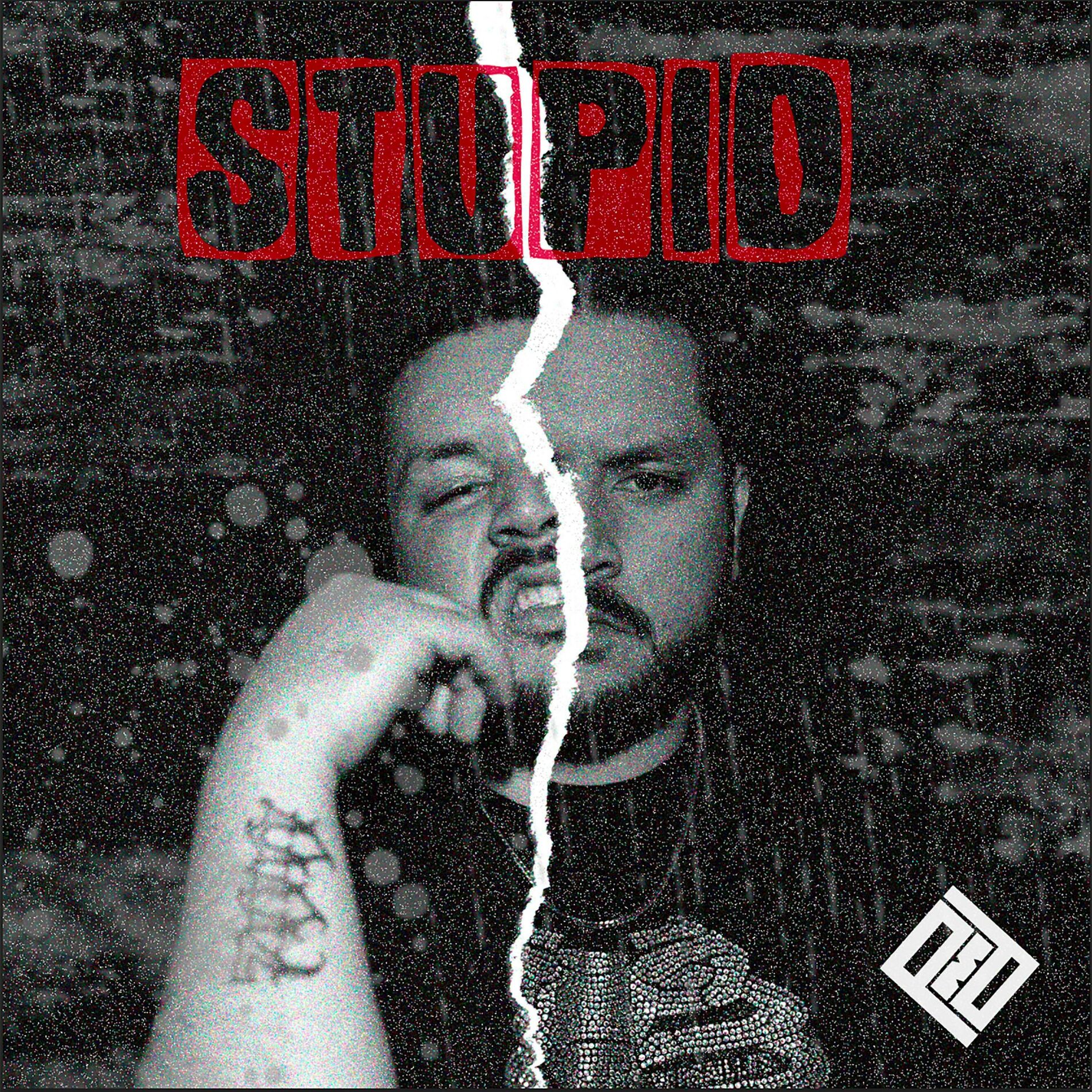 Album cover of Stupid (feat. PMD)