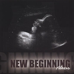 Cover of New Beginning