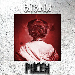 Cover of Fucem