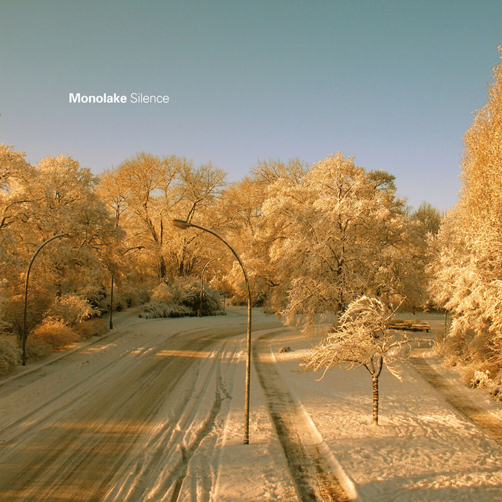Picture of Silence
