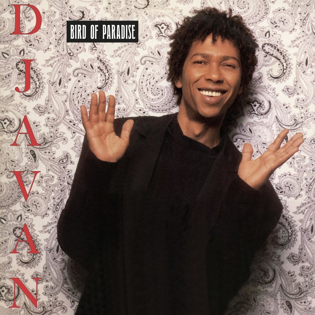 Album cover of Bird of Paradise