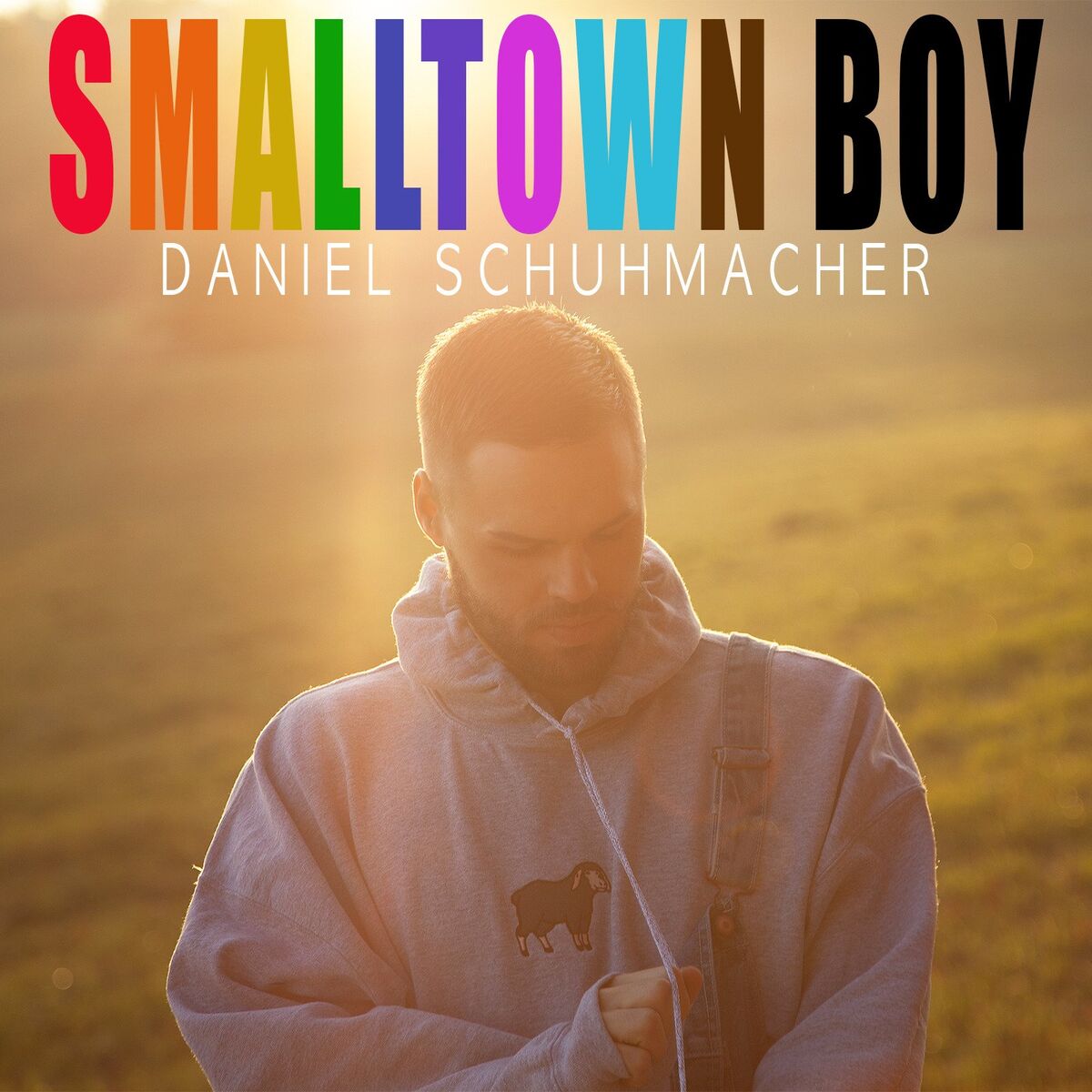 Album cover of Smalltown Boy
