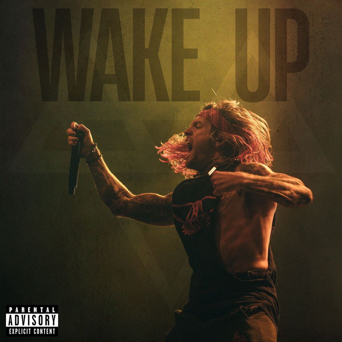 Album cover of Wake Up
