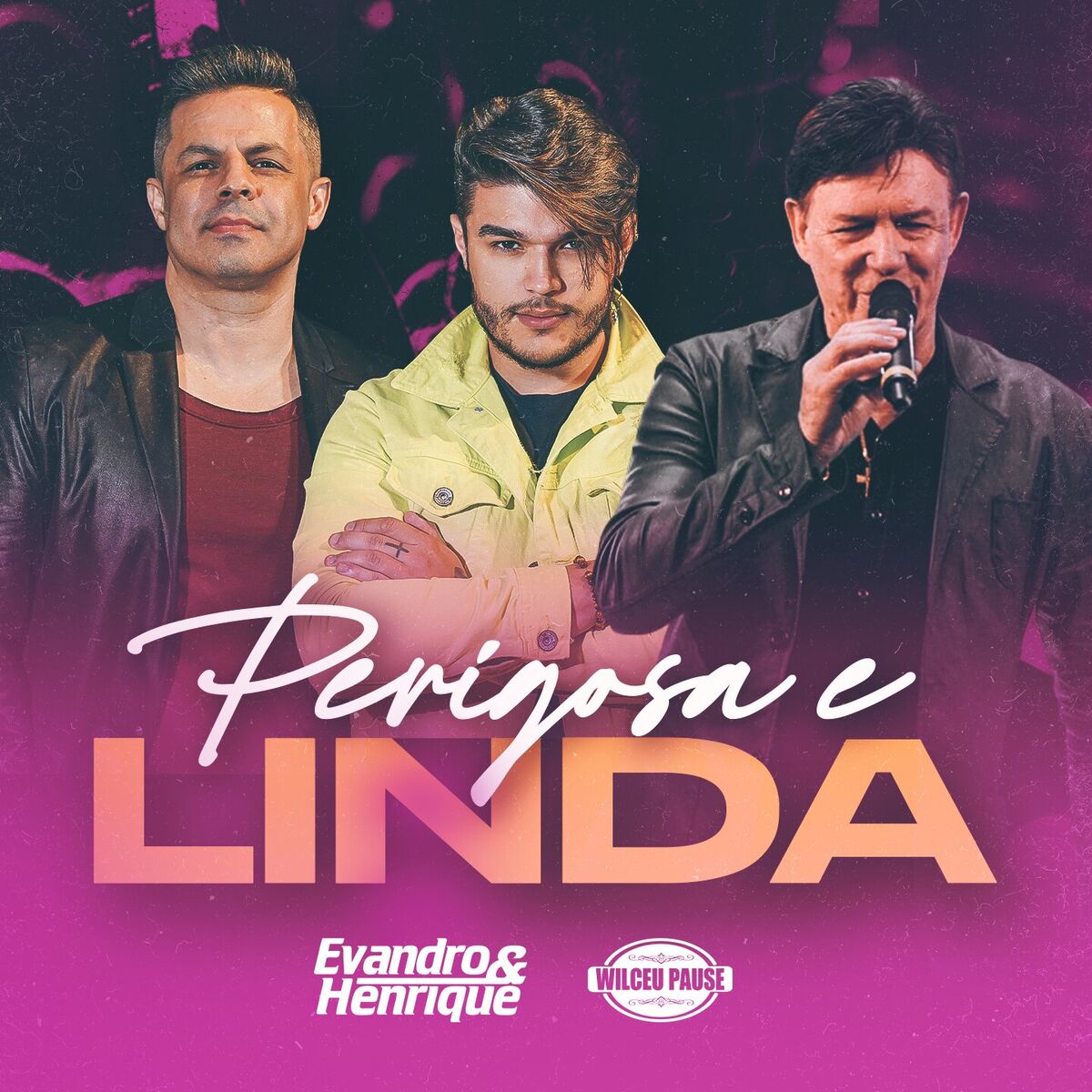 Album cover of Perigosa e Linda