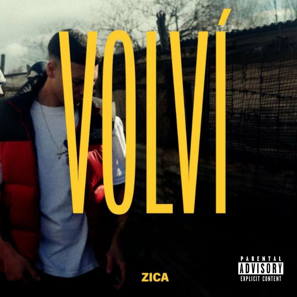 Picture of Volví