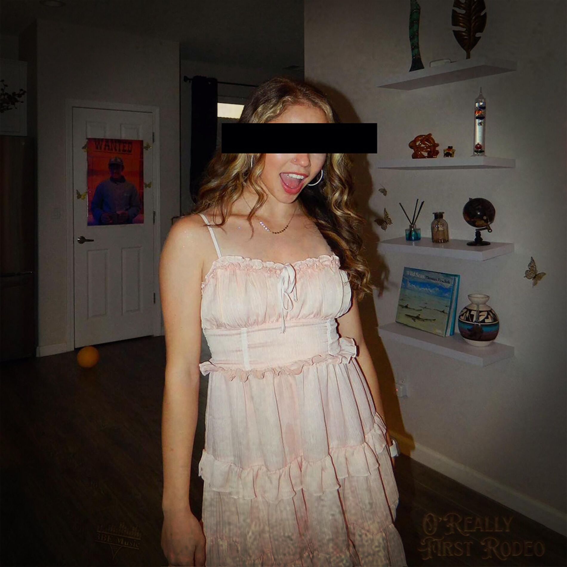 Album cover of First Rodeo