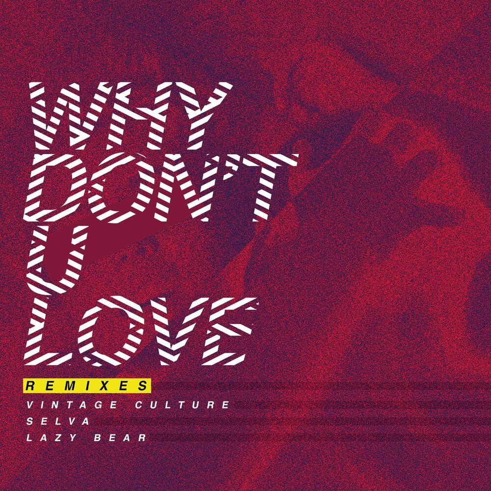 Picture of Why Don't U Love (Remixes)