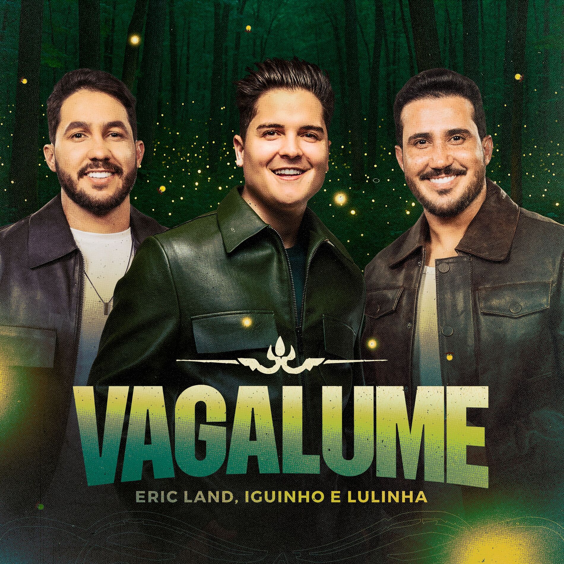 Album cover of Vagalume