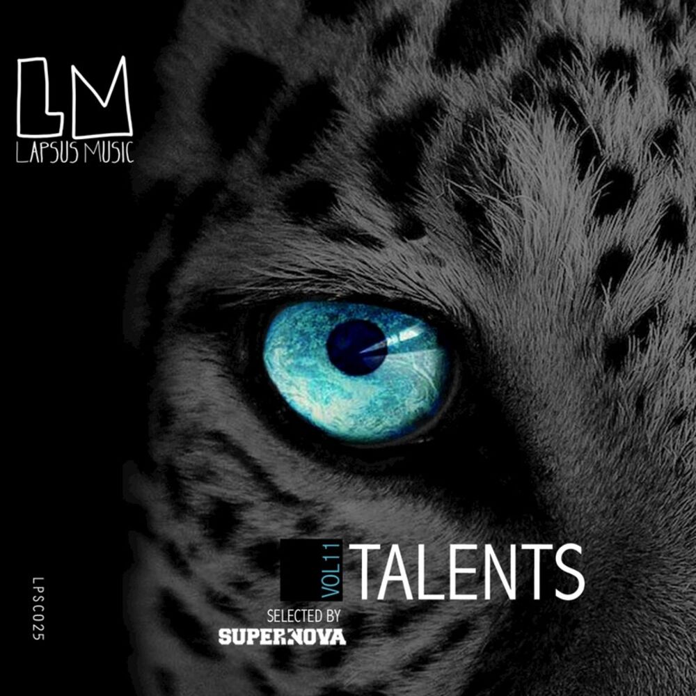 Picture of Talents, Vol.11 (Compiled by Supernova)