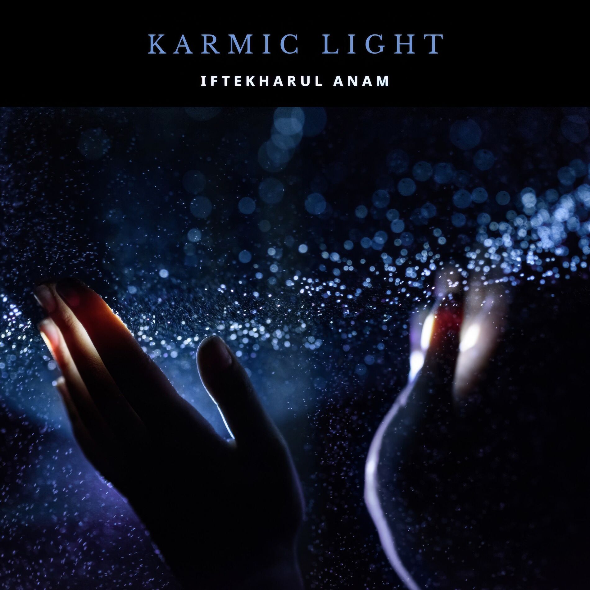 Album cover of Karmic Light
