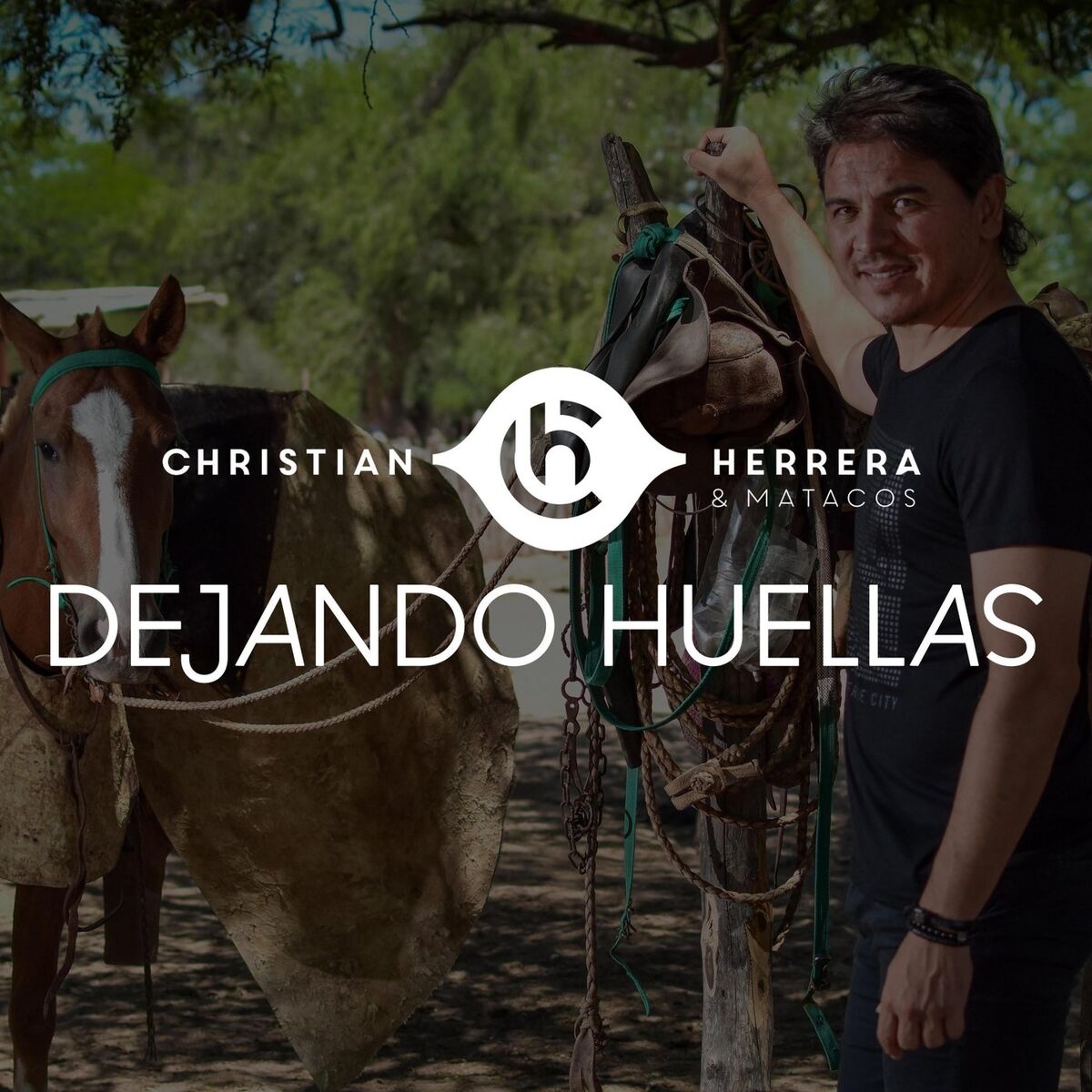 Album cover of Dejando Huellas