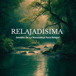 Cover of Relajadísima - Sonidos De La Naturaleza Para Relajar by undefined