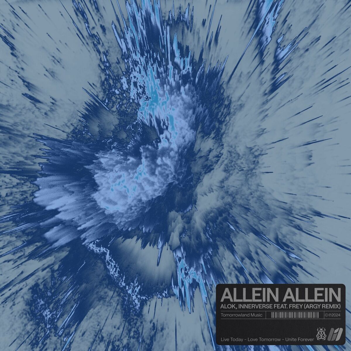 Album cover of Allein Allein