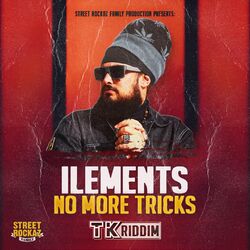 Cover of No More Tricks