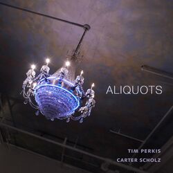 Cover of Aliquots
