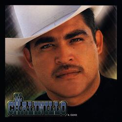 Cover of Quiero Decirte