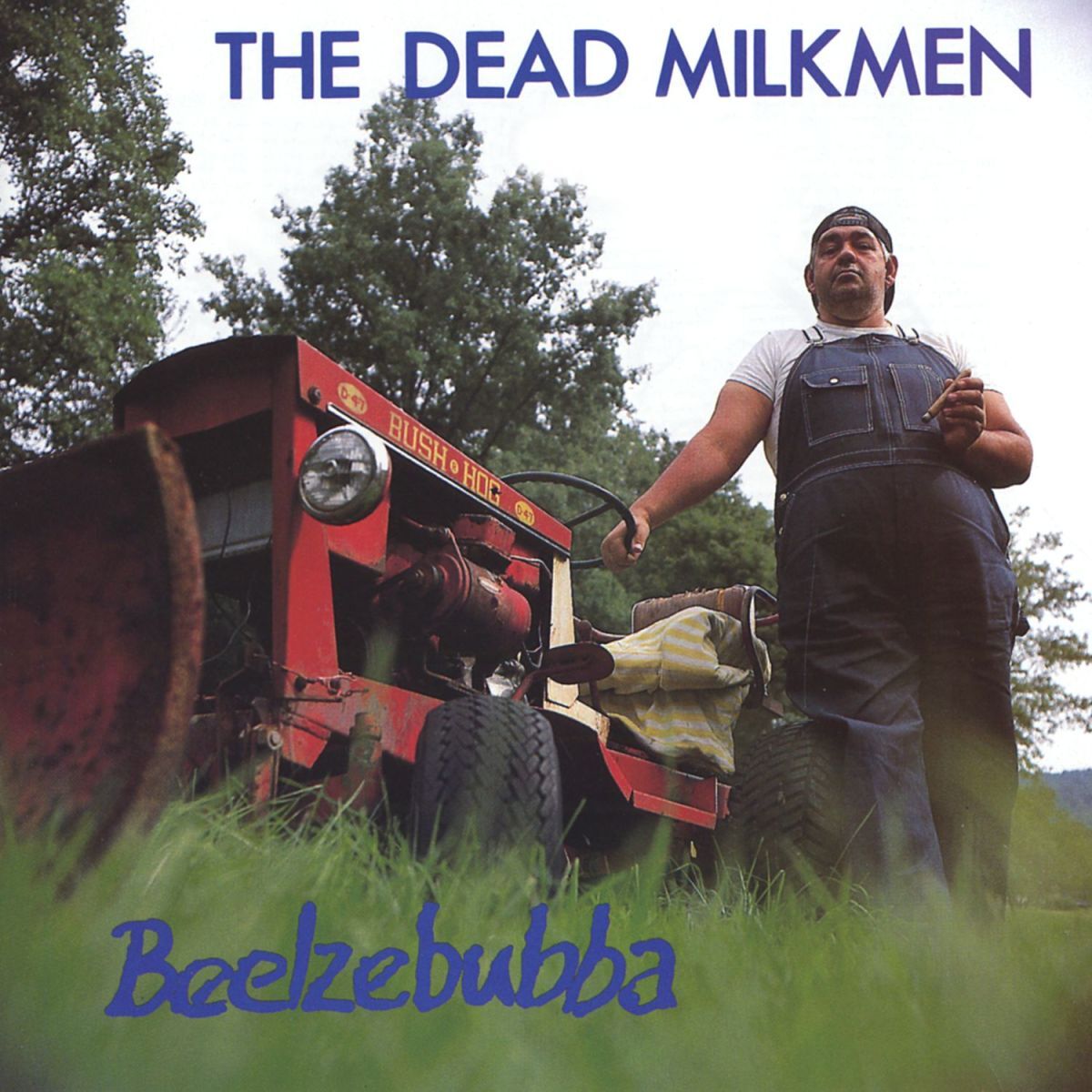 Album cover of Beelzebubba