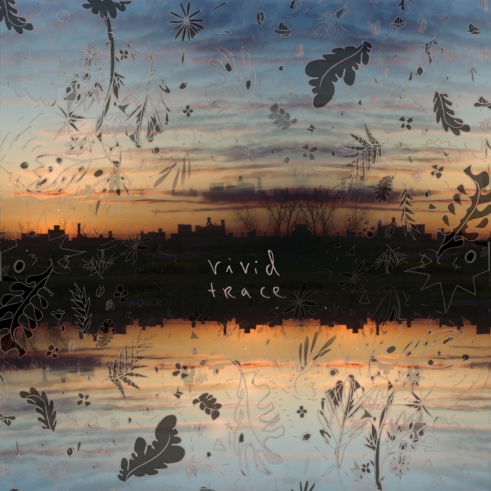 Album cover of Vivid Trace