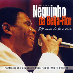 Cover of 25 Anos de fé e raiz (Ao vivo)