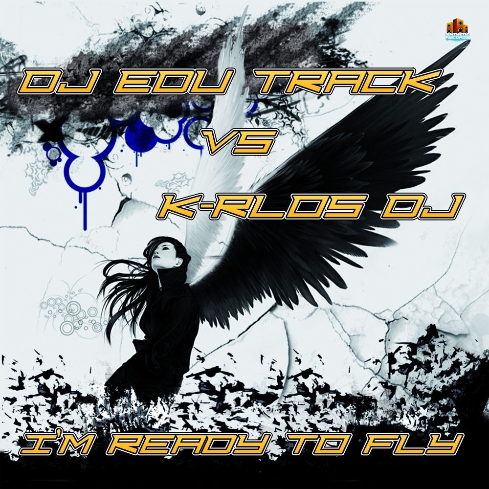Picture of I'm Ready To Fly
