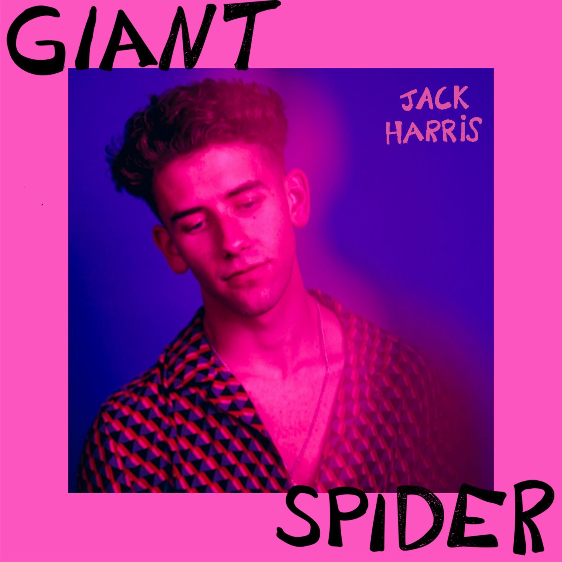 Album cover of Giant Spider