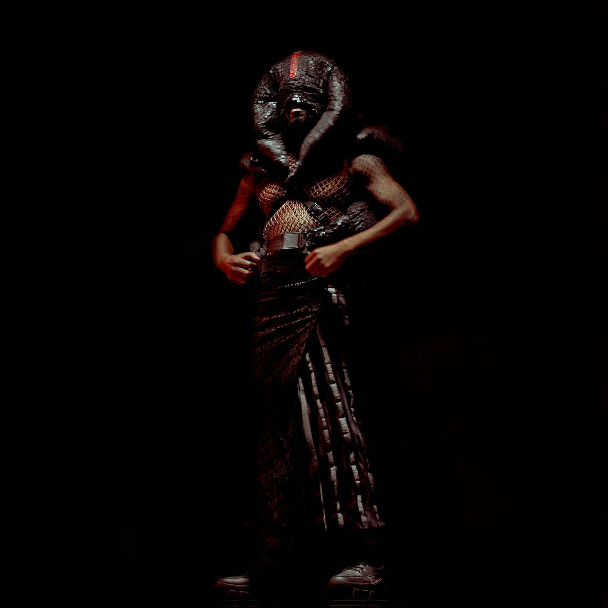 Album cover of Leaving The Light