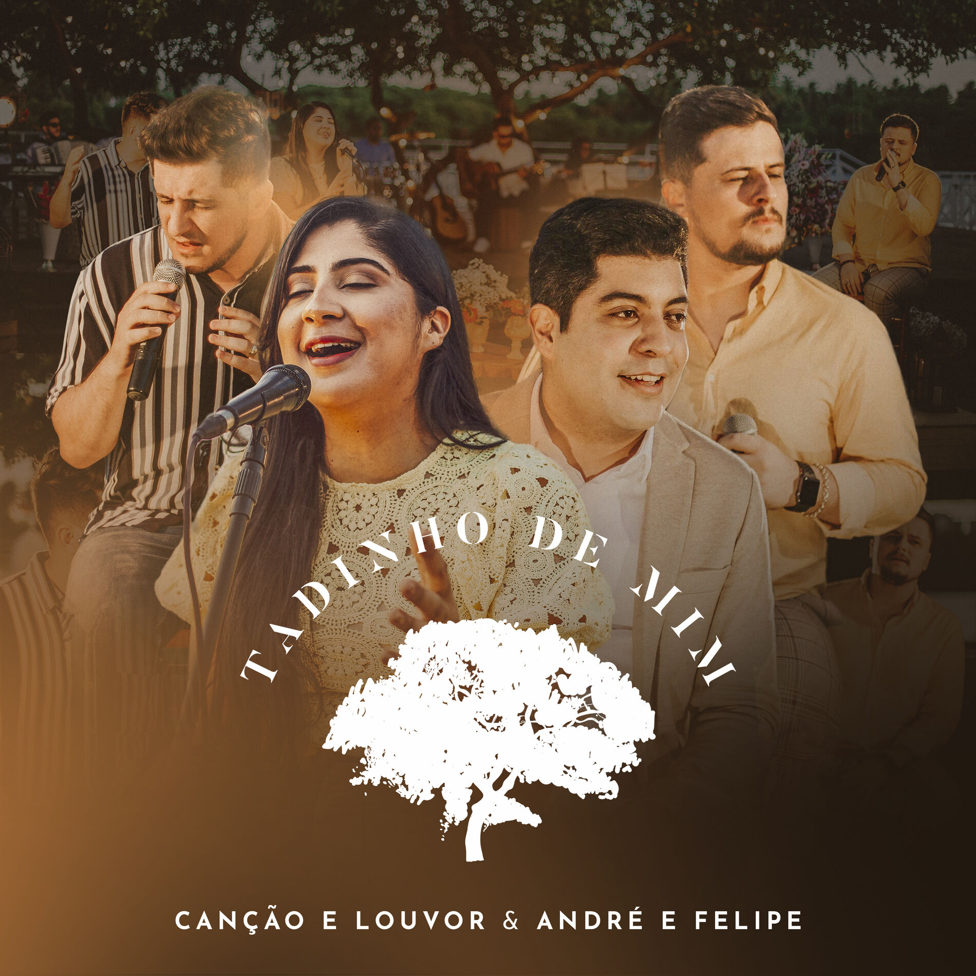 Album cover of Tadinho de Mim
