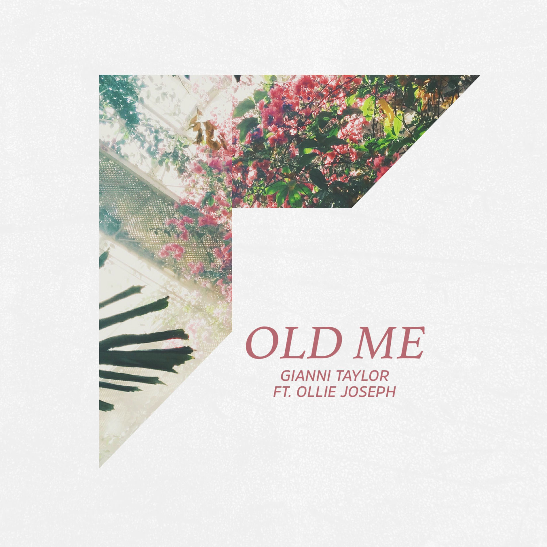 Album cover of Old Me (feat. Ollie Joseph)