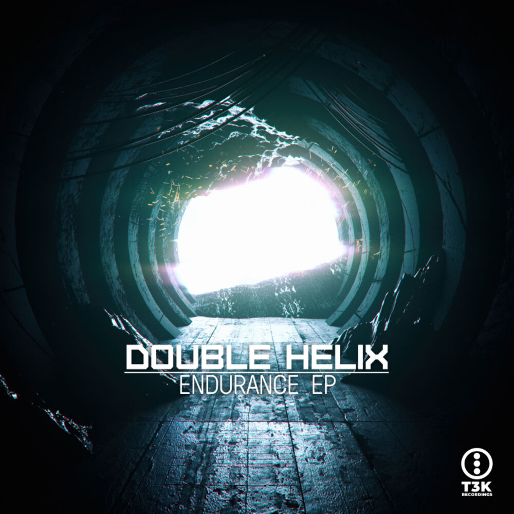 Picture of Endurance EP