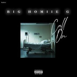 Cover of CALL ON