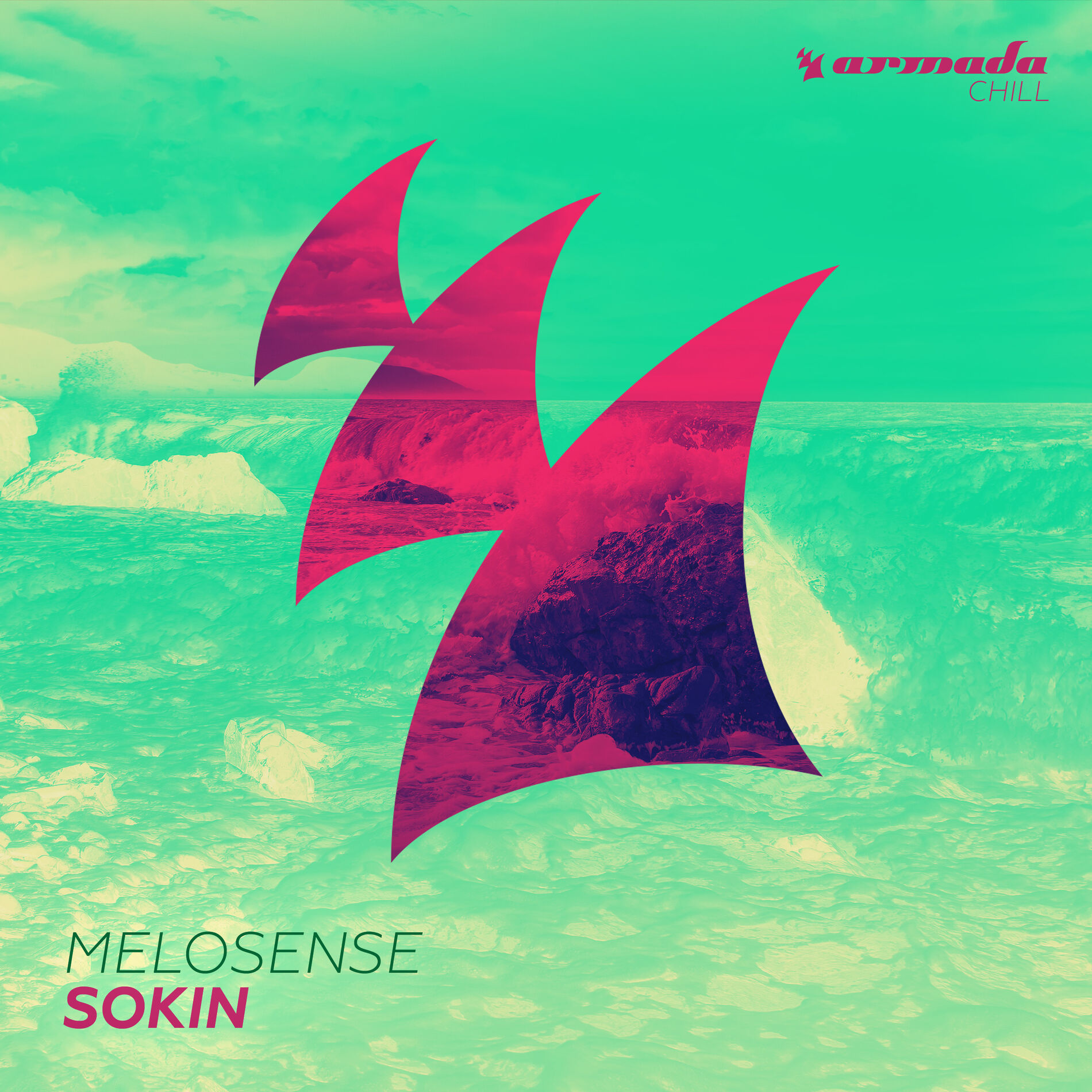 Album cover of Sokin