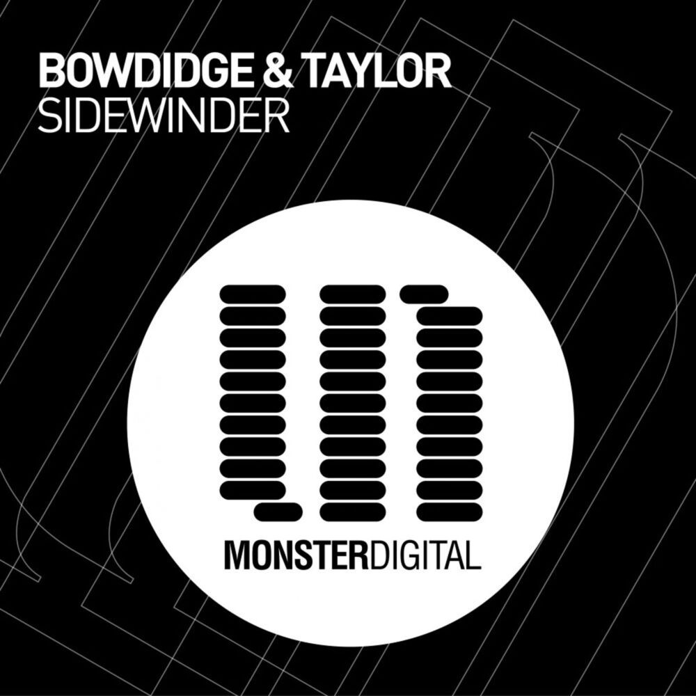 Picture of Sidewinder
