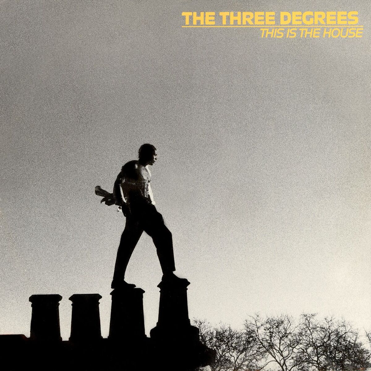 Album cover of This Is the House