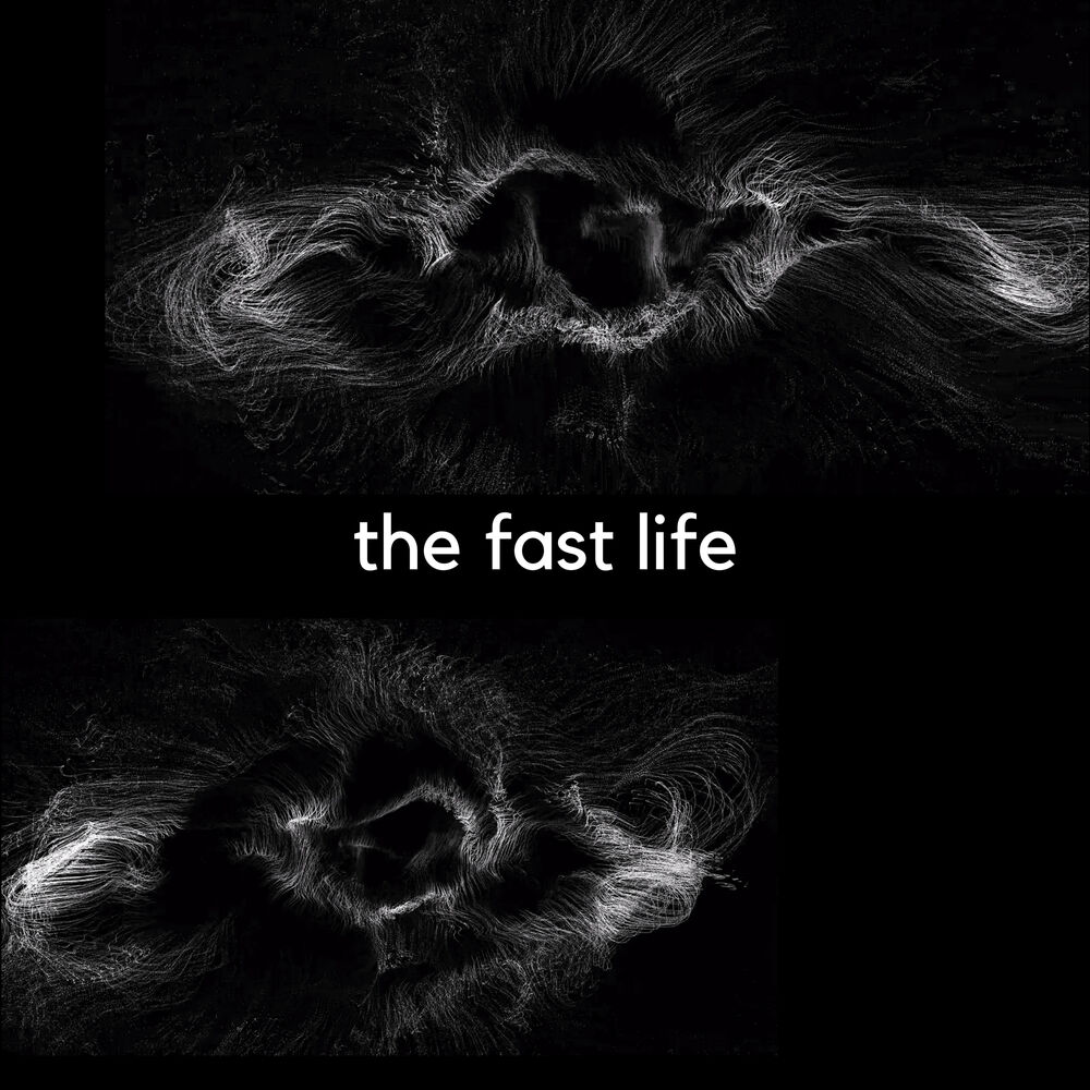 Picture of The Fast Life