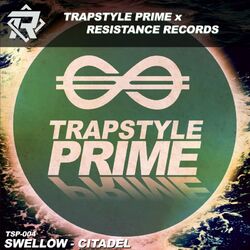 Cover of CITADEL