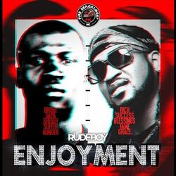 Cover of Enjoyment