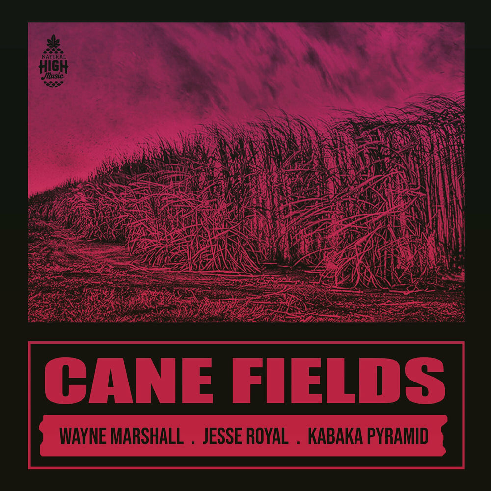 Cane Fields cover