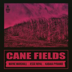 Cover of Cane Fields