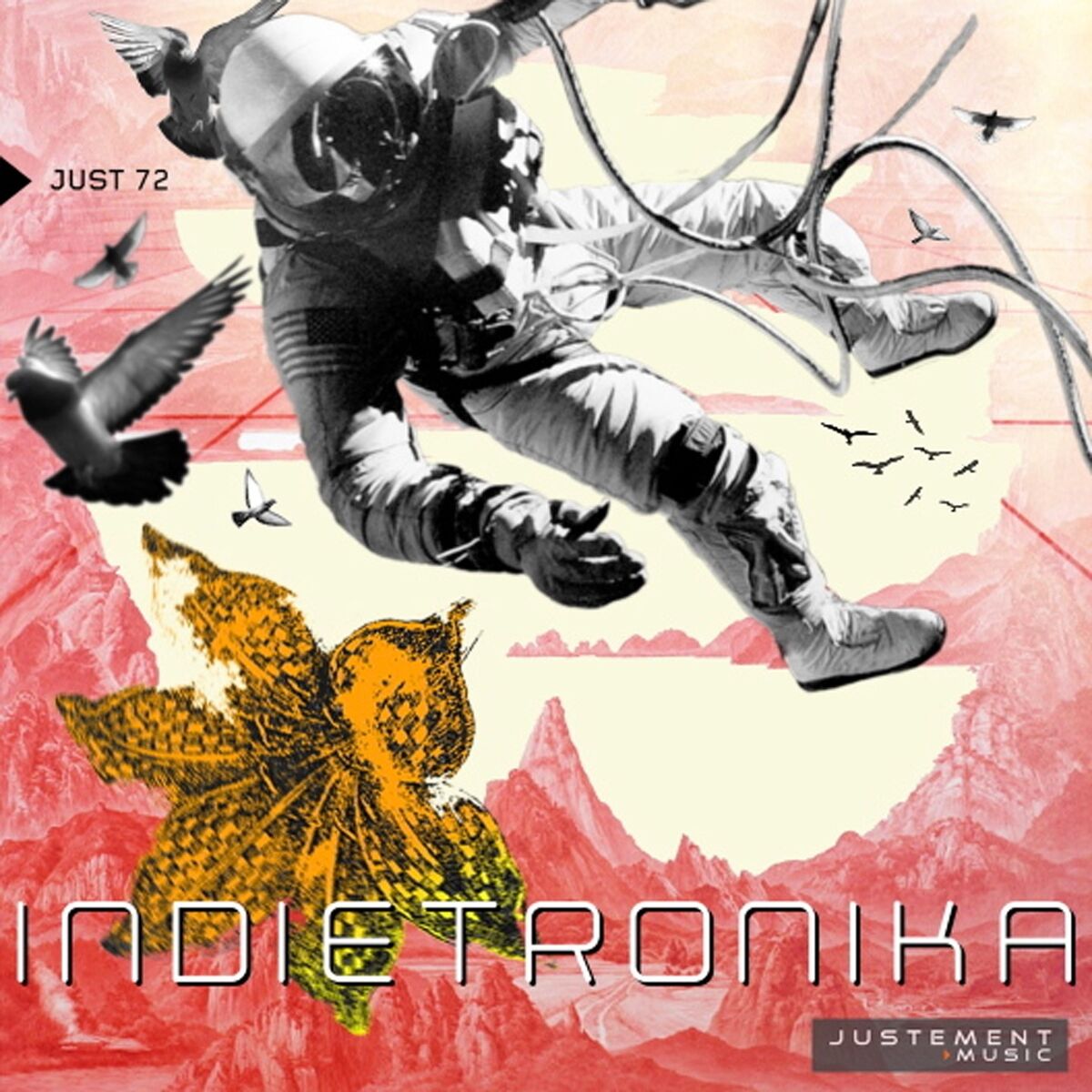 Album cover of Indietronika