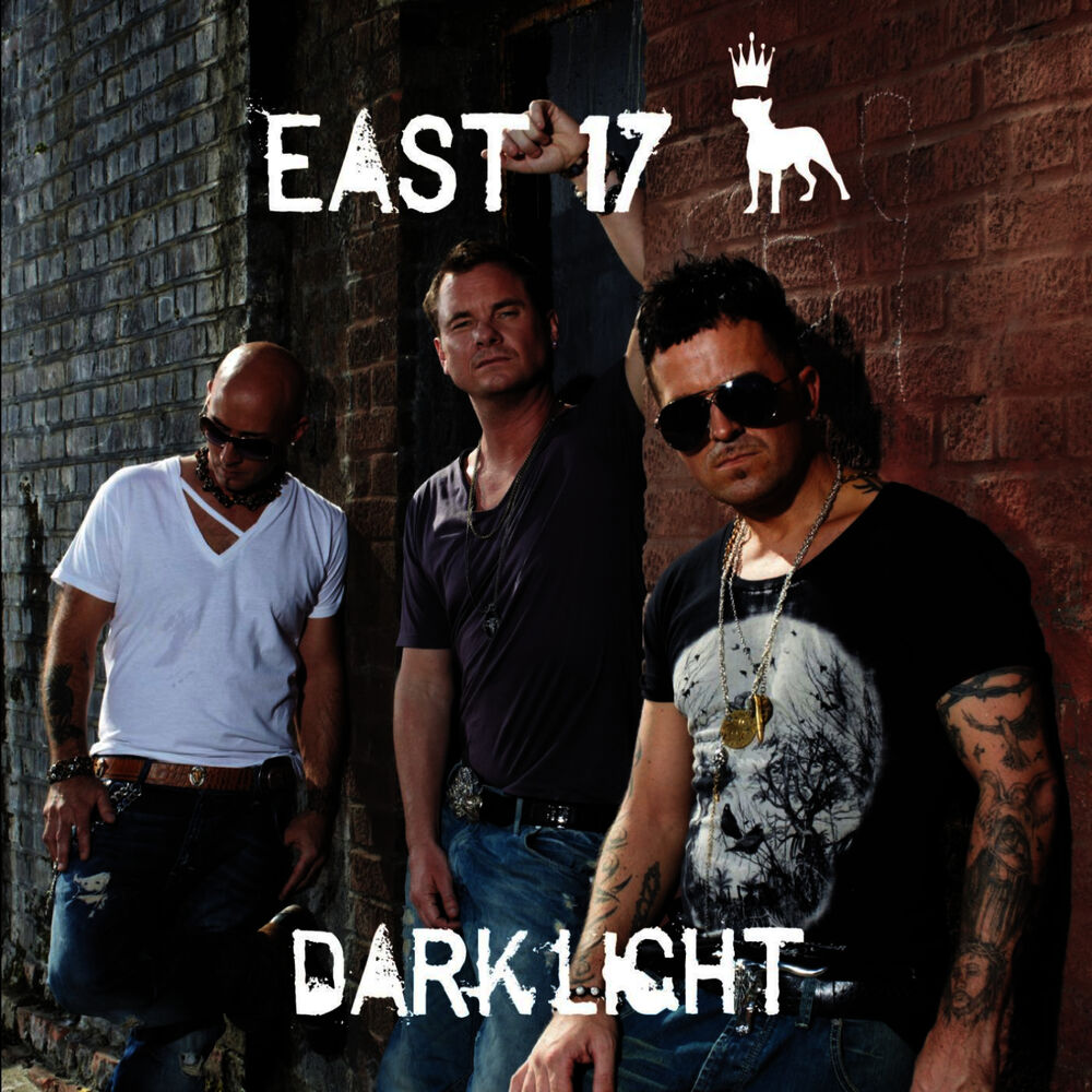 Picture of Dark Light