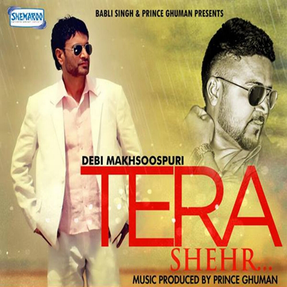 Picture of Tera Shehr
